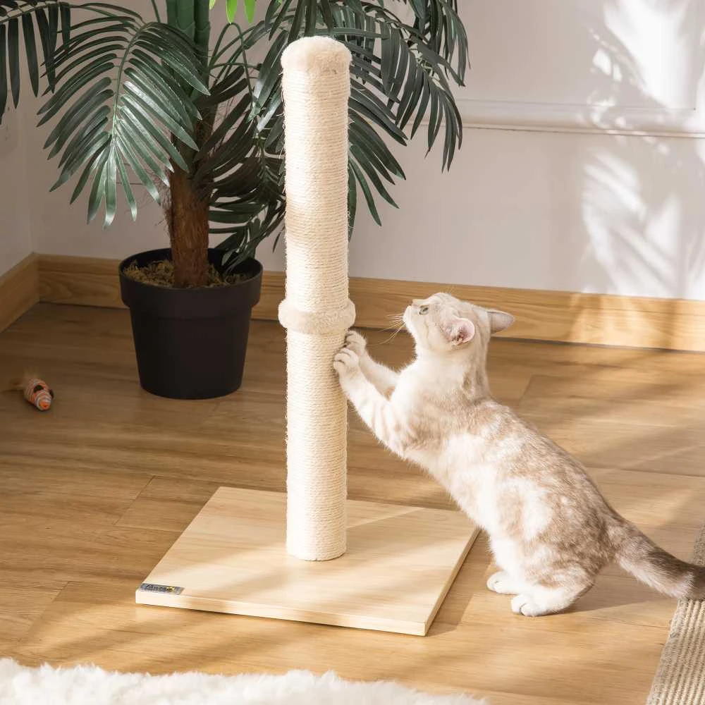 PawHut draskyklė-stulpas, sizalio draskymo stulpas katėms, stabilus, su kamuoliuku, 60 cm, medžio drožlių plokštė, smėlio spalvos ir ąžuolo
