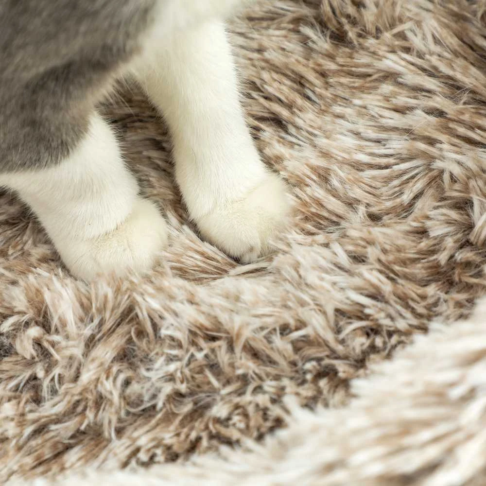 PawHut draskyklė katėms, 87 cm aukščio, su guoliu, storu stulpu, sizalio draskymo stulpais, katėms iki 6kg, vidaus naudojimui, ruda
