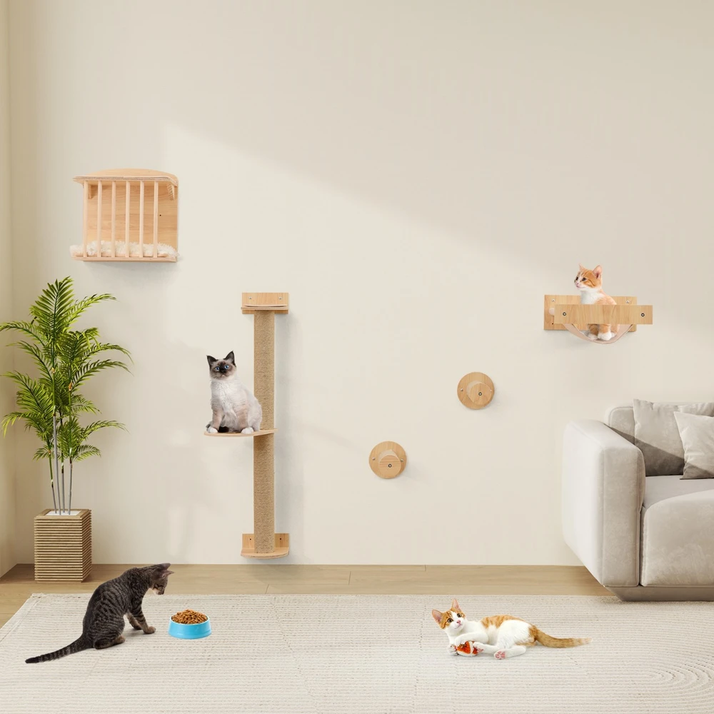 Kačių laipiojimo rinkinys natūralus 5 vnt.