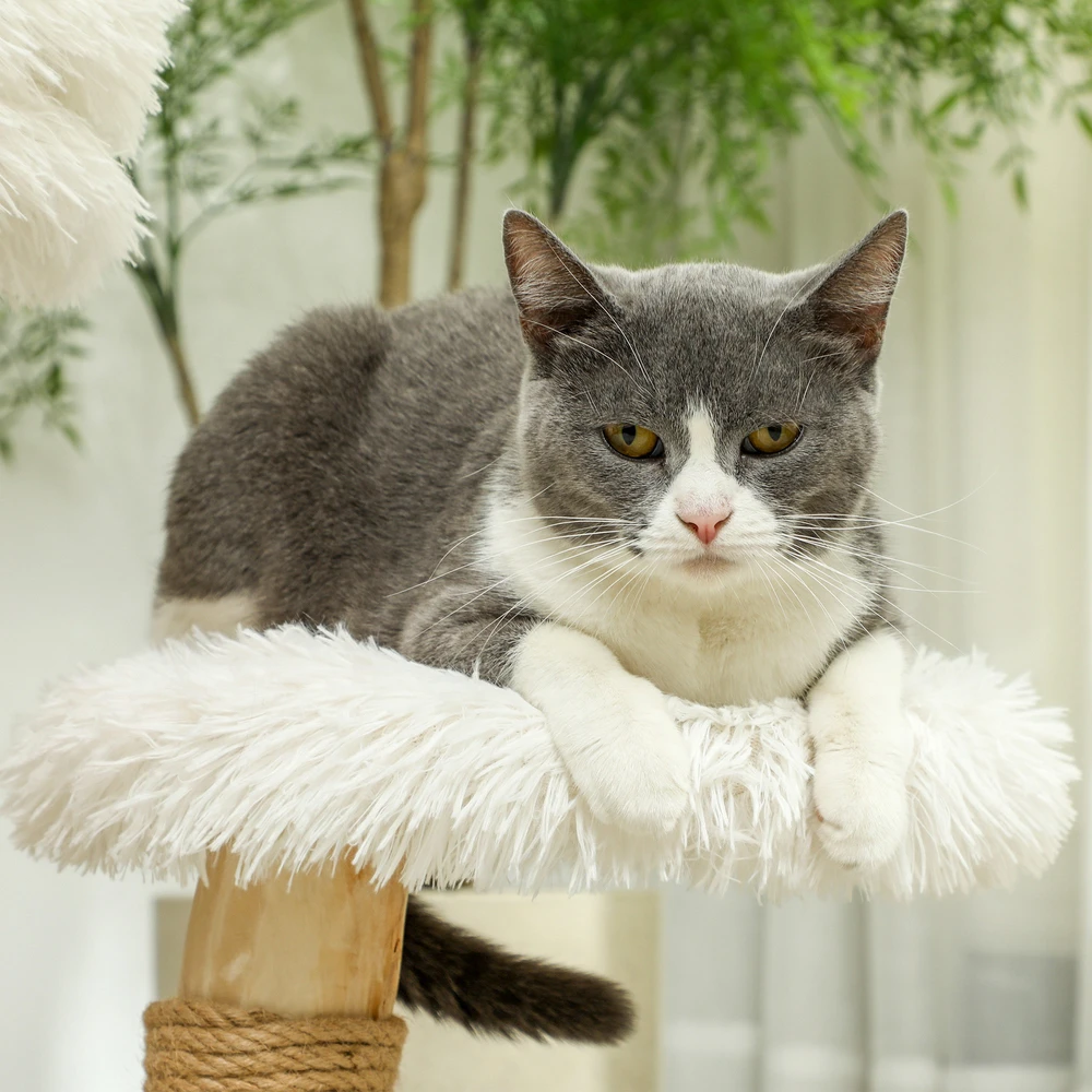 PawHut draskyklė, 61,5 cm aukščio katėms, su žaisliniu kamuoliuku, lovelėmis, draskymo lenta, katėms iki 5kg, kriaušės mediena, balta