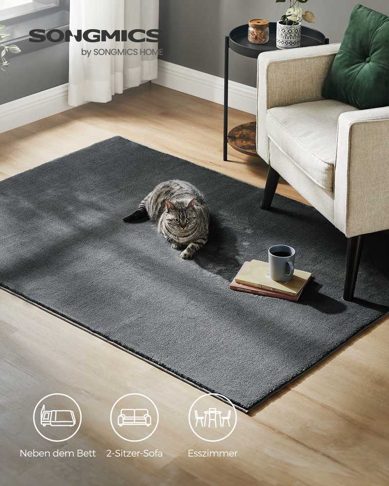Songmics Klimas 170 × 120 cm
