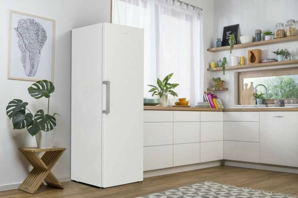 Šaldytuvas Gorenje R619EEW5