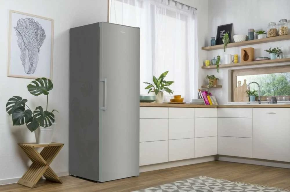 Šaldytuvas GORENJE R619EES5