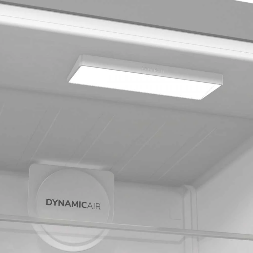 Šaldytuvas Gorenje R619EAXL6