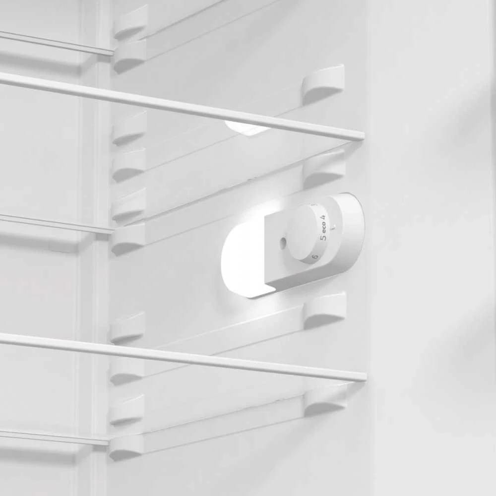 Šaldytuvas GORENJE R619EES5