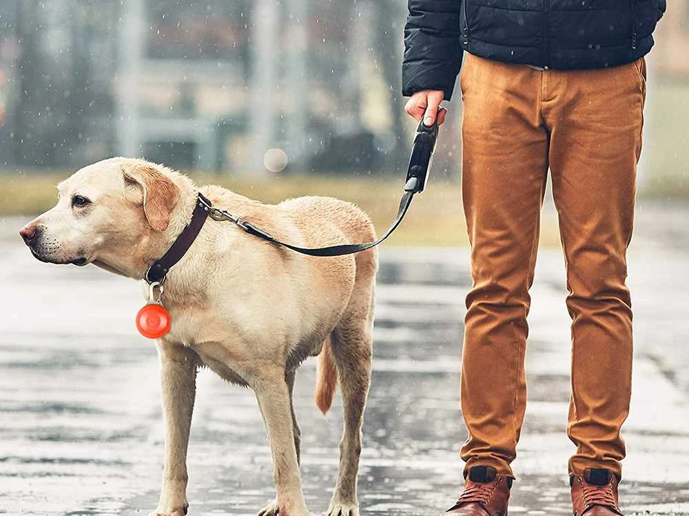 LED šviesos pakabukas šuniui ir katei - raudonas