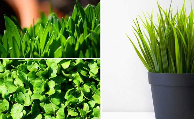 Gardlov 200 LED lempa augalų augimui