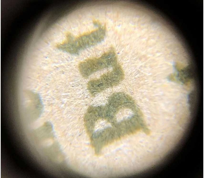 Mikroskopas telefonui su 60x priartinimu