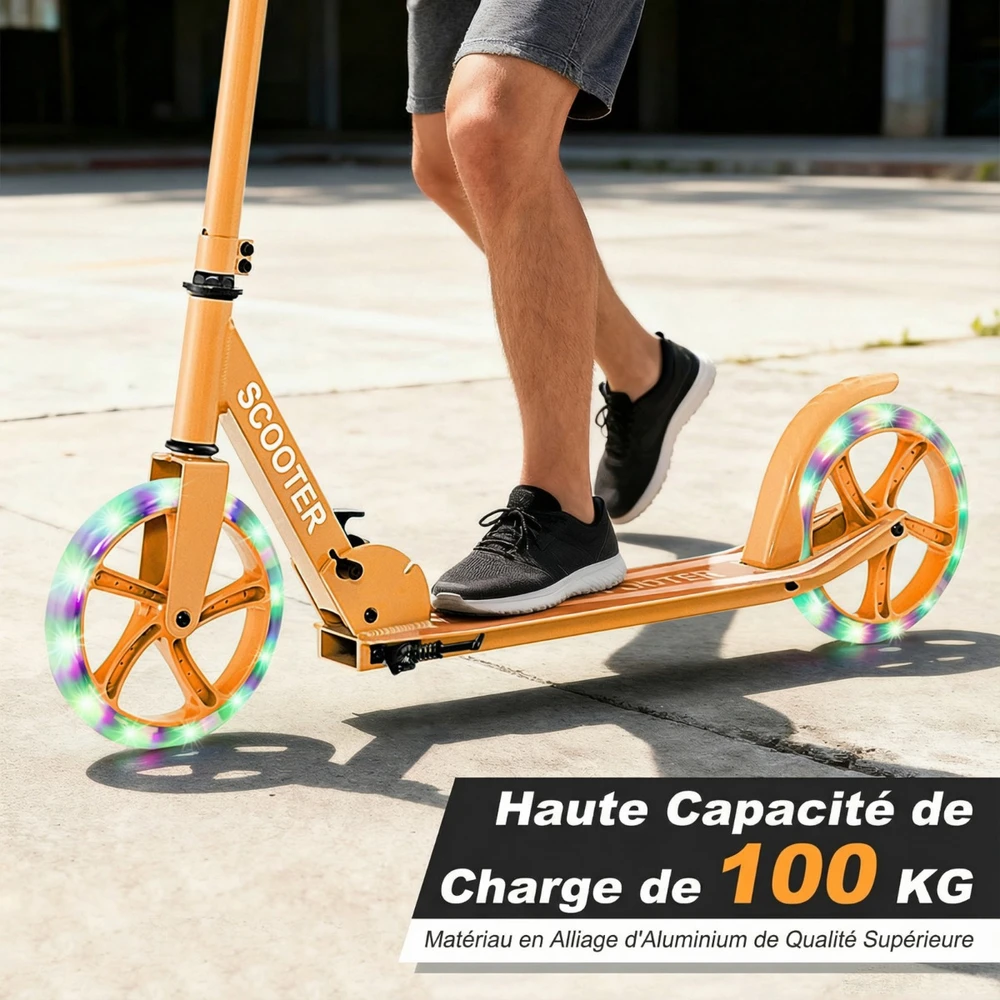 Paspirtukas oranžinis