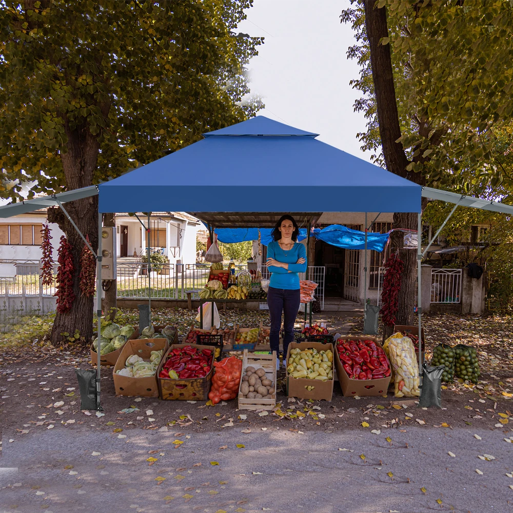 Pavėsinė 300 x 537 x 270–290 cm