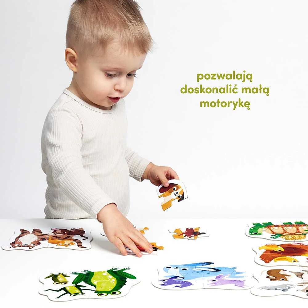 Dėlionė CzuCzu Mano pirmieji galvosūkiai Maži gyvūnai 7 galvosūkiai 2+ ZA5547