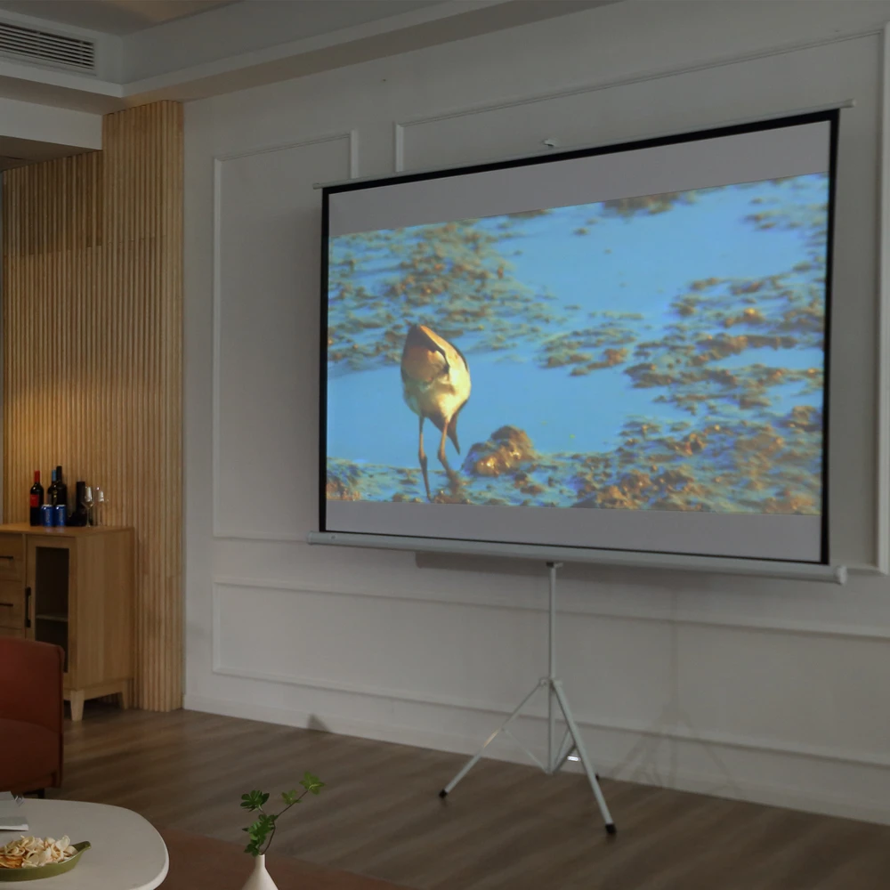 Projektorius HOMCOM 4:3 formato projektoriaus drobė, kino ekranas, prezentacijų paviršius namams ar biurui, balta
