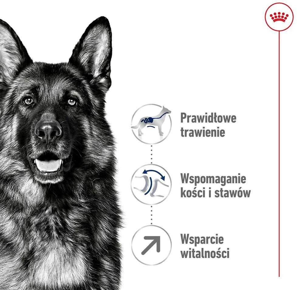 Royal Canin Maxi Adult 5+ 15kg