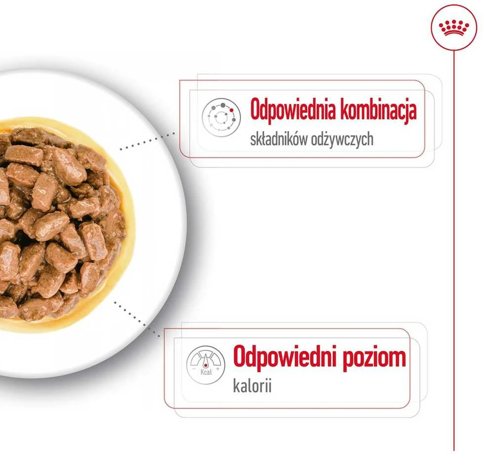 Šunų Maistas - Royal Canin Mini Senėjimas 12+ 12x85g