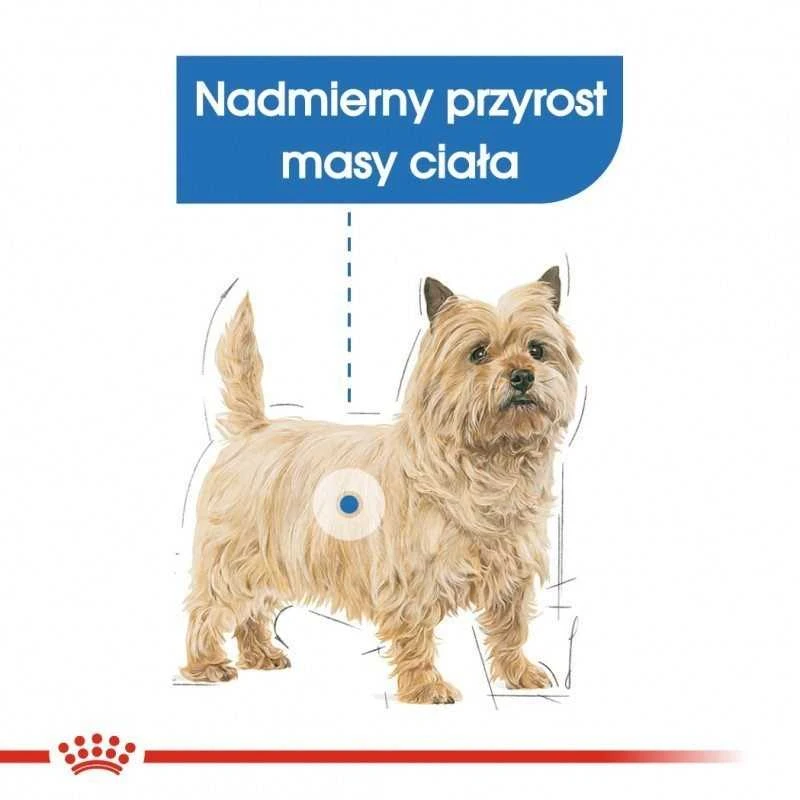Royal Canin Mini Light Weight Care sausas maistas suaugusiems šunims, mažoms veislems su tendencją antsvoriui 3kg