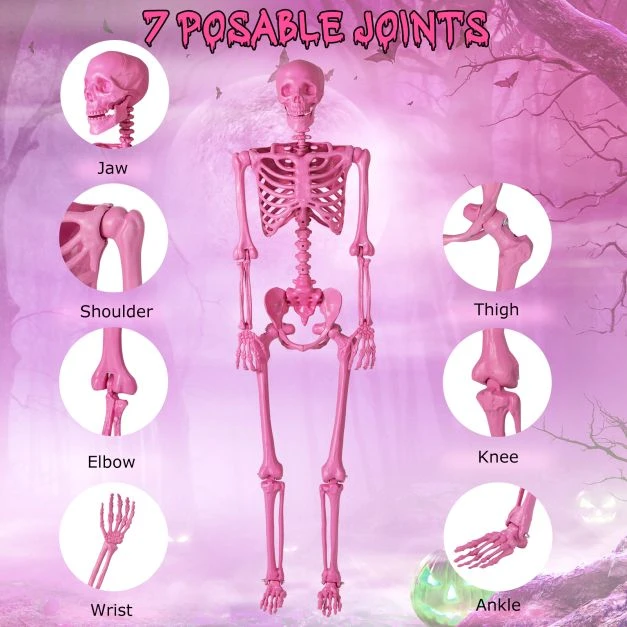 Skeletas 160.0 cm