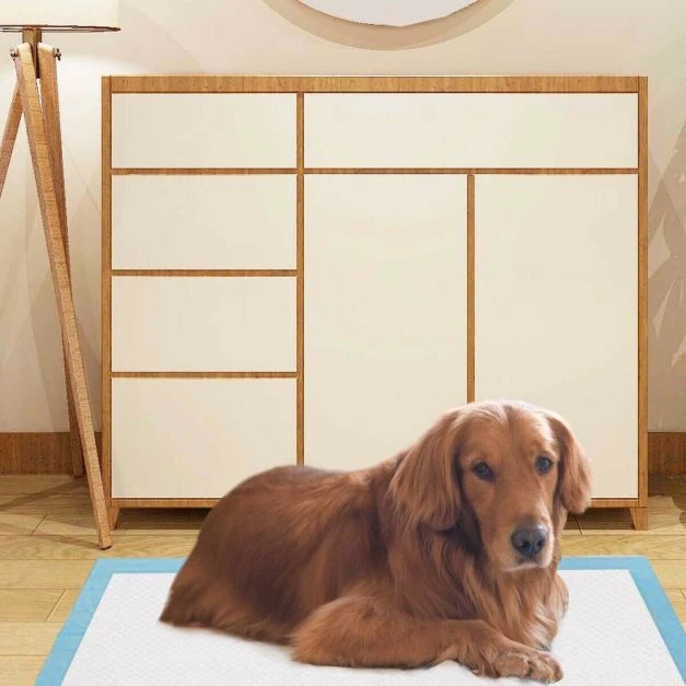 Šlapimo sugeriami paklotai 75 x 90 cm 100 vnt.