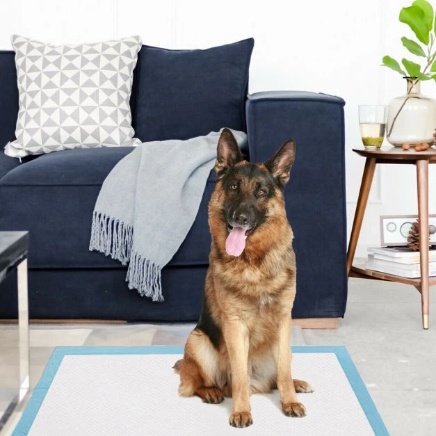 Šlapimo sugeriami paklotai 75 x 90 cm 100 vnt.