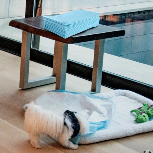 Šlapimo sugeriami paklotai 75 x 90 cm 100 vnt.