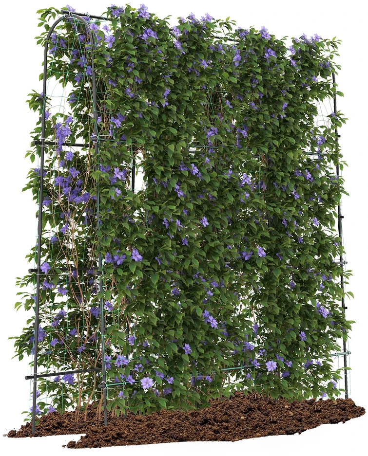 Sodo arka 180 x 32–65 x 180 cm