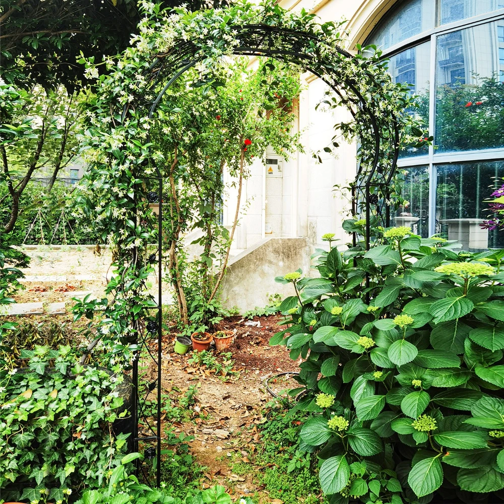 Sodo arkos 150 x 39 x 250 cm 2 vnt.
