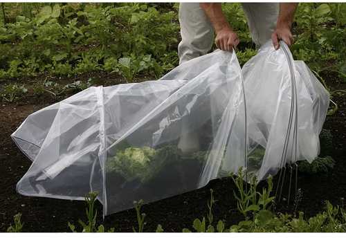 Garden greenhouse - Gardlov tunnel 25382