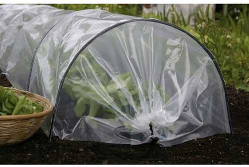 Garden greenhouse - Gardlov tunnel 25382