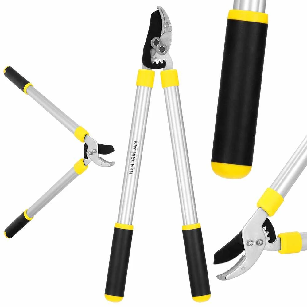 Sodo žirklės šakoms Springos SE0001 62 cm
