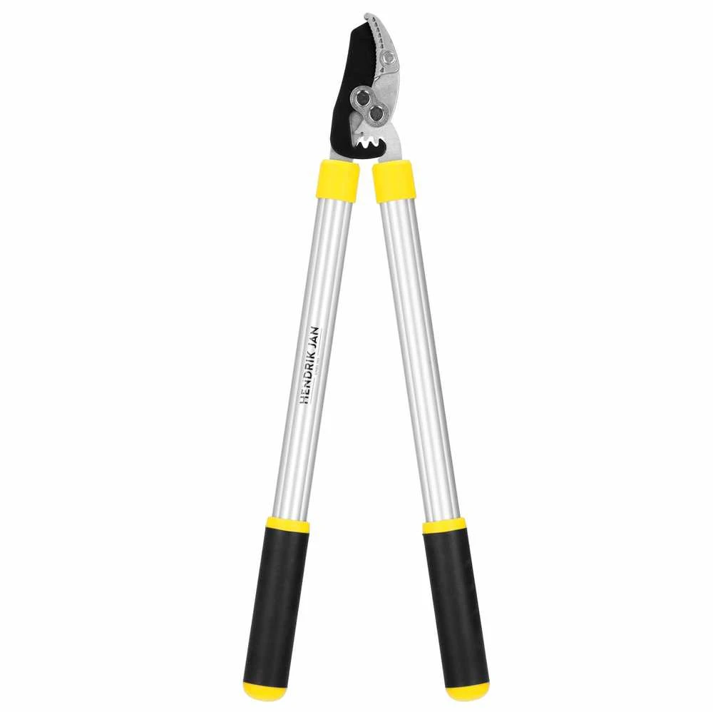 Sodo žirklės šakoms Springos SE0001 62 cm