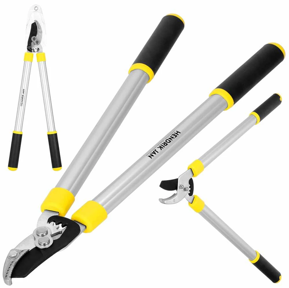 Sodo žirklės šakoms Springos SE0001 62 cm