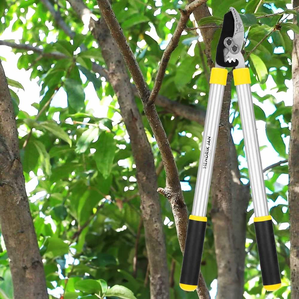Sodo žirklės šakoms Springos SE0001 62 cm