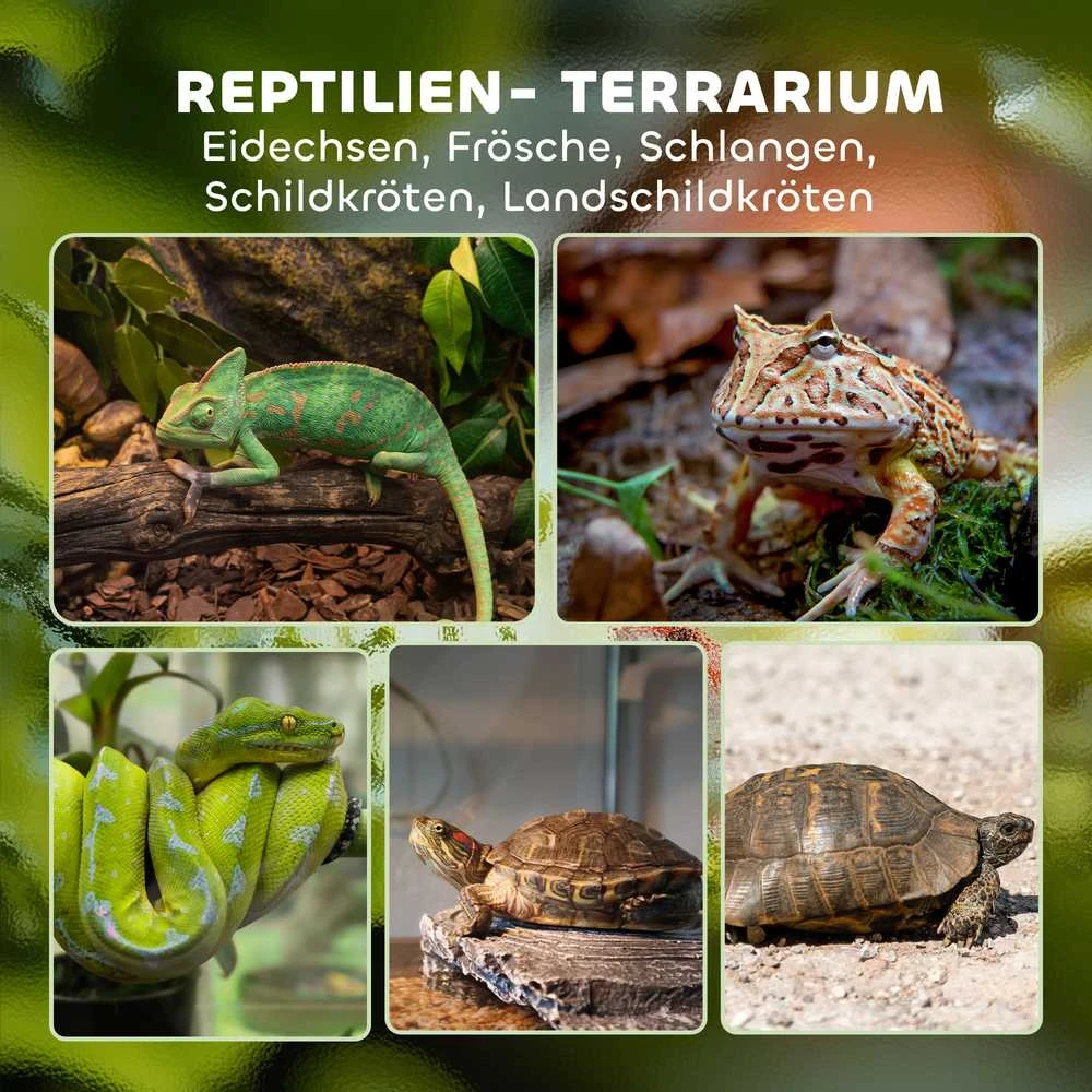 Stiklinis terariumas 50 × 30 × 35 cm