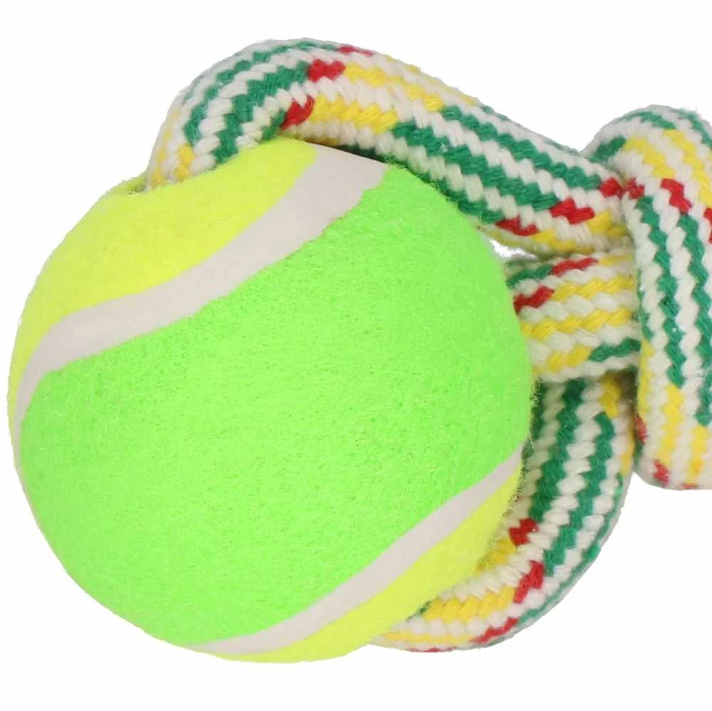 Šuns žaislas Springos PA0276, 35 cm