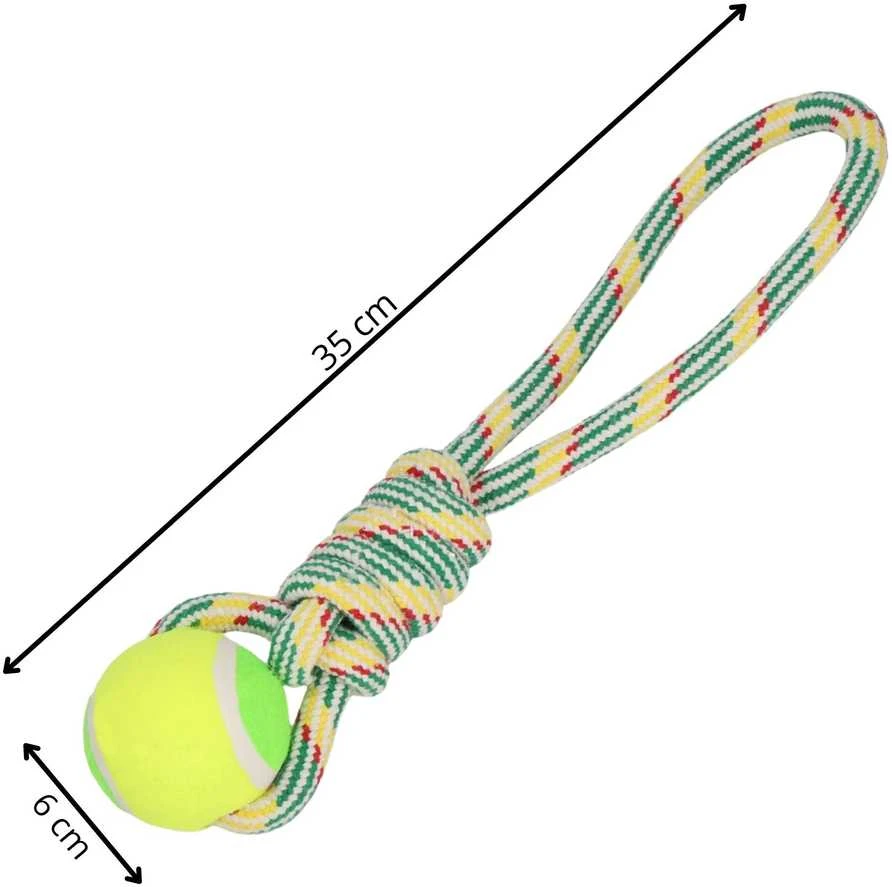Šuns žaislas Springos PA0276, 35 cm