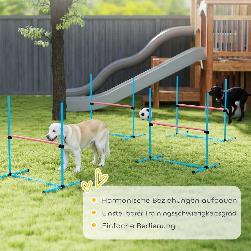 Šunų agility rinkinys 99 × 65 × 94 cm