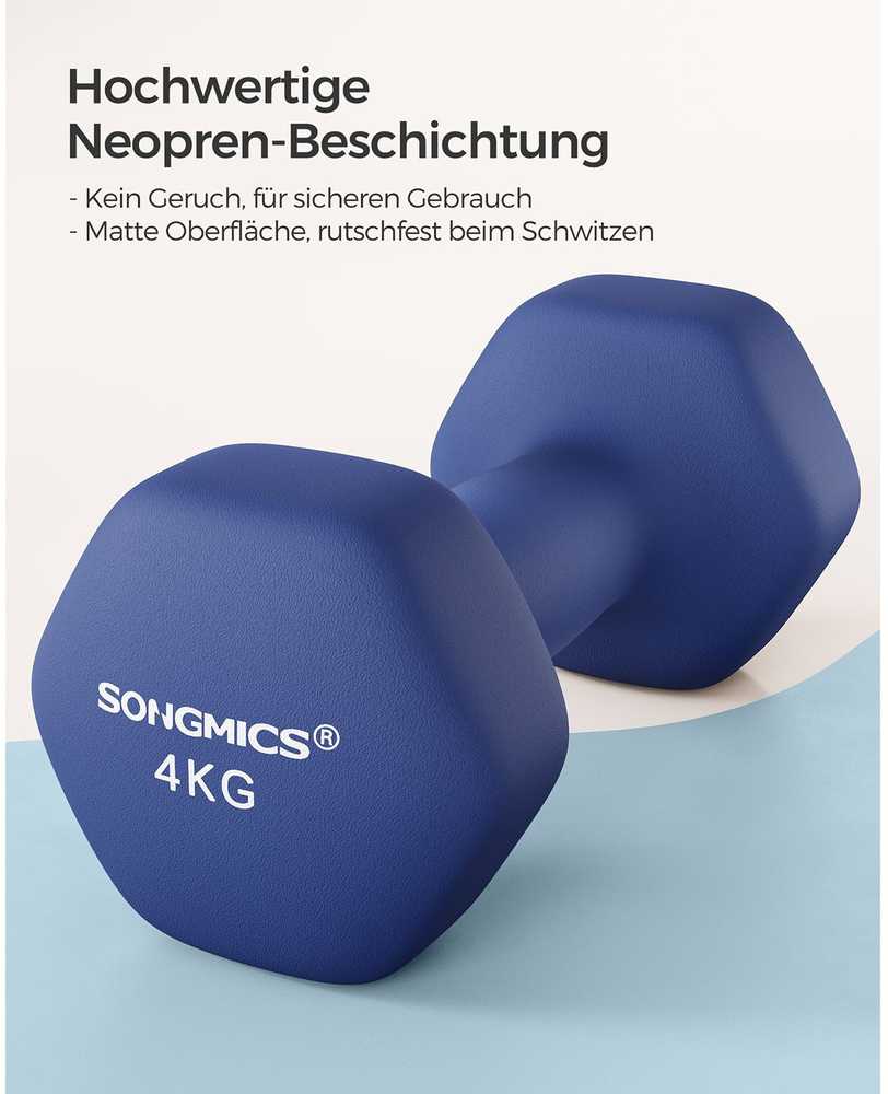 Songmics Svarmenų rinkinys 2x4 kg mėlynos spalvos