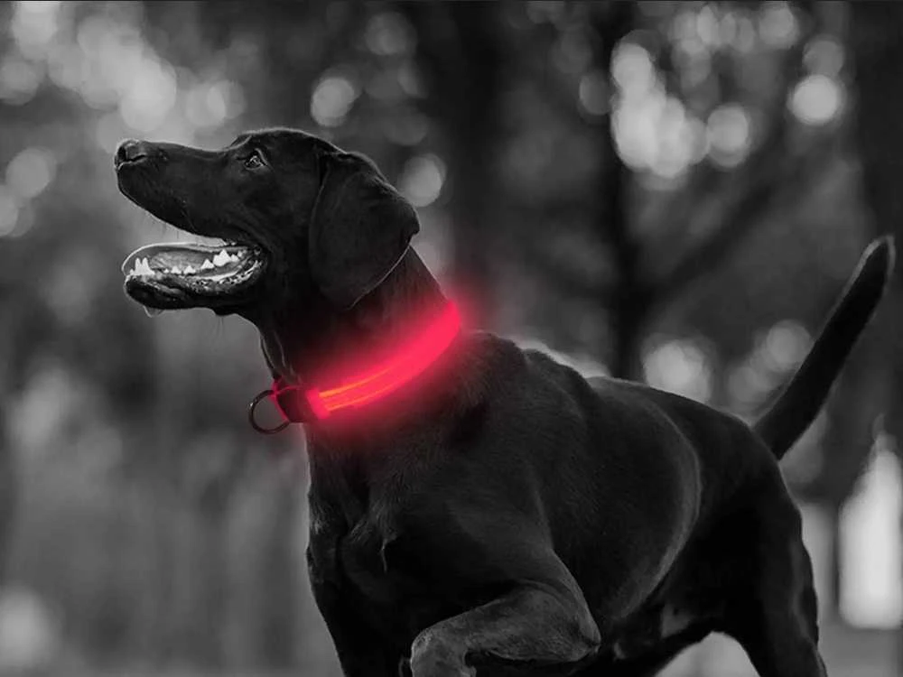 Šviečiantis LED antkaklis šunims ir katėms, 46-59 cm, rožinis