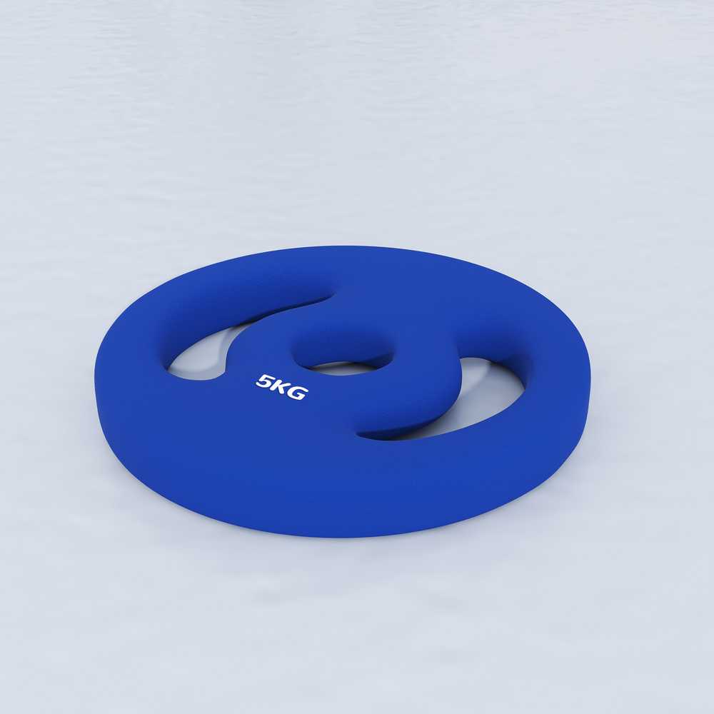 SPORTNOW 2 hantelių svarmenų rinkinys, 2 x 5kg svarmenys, svarmenų plokštelių rinkinys, svarmenų plokštelės 2,5 cm hantelio strypui, Ø 30 mm skylė, mėlynos spalvos