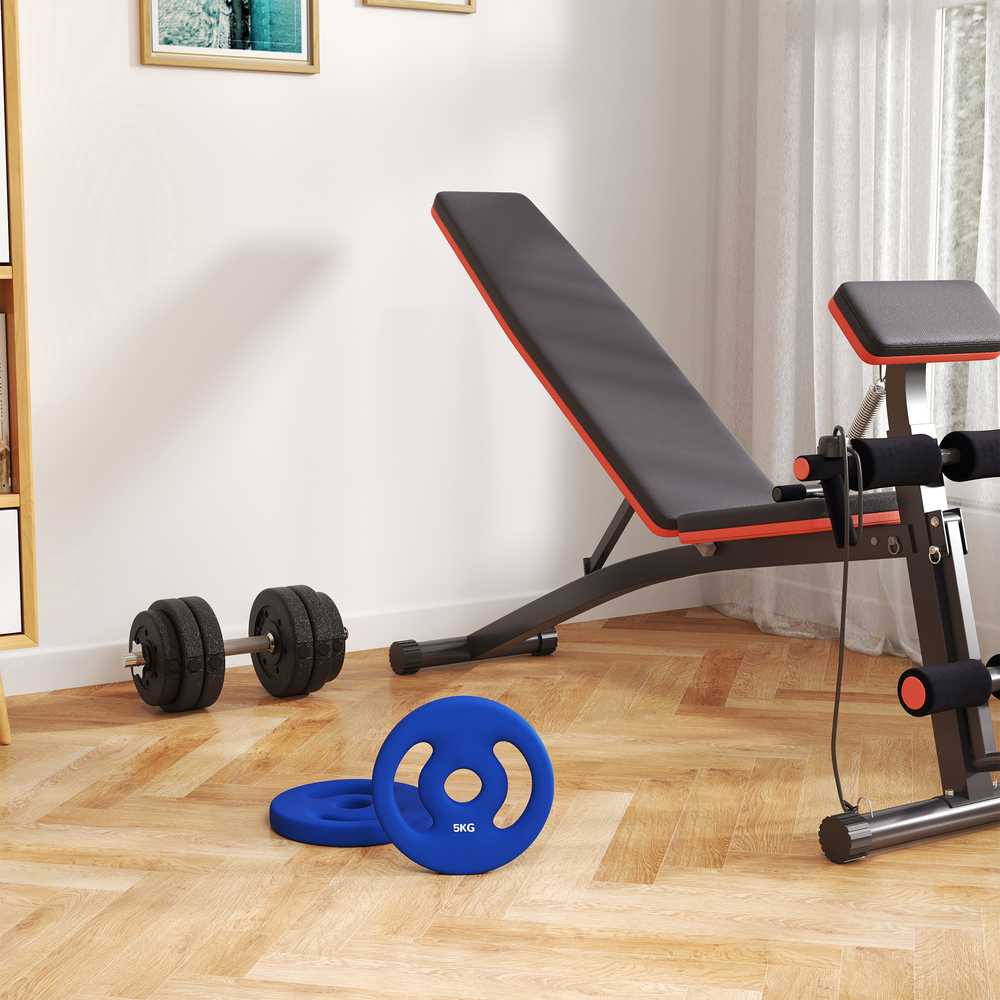 SPORTNOW 2 hantelių svarmenų rinkinys, 2 x 5kg svarmenys, svarmenų plokštelių rinkinys, svarmenų plokštelės 2,5 cm hantelio strypui, Ø 30 mm skylė, mėlynos spalvos