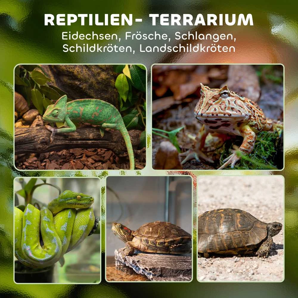 Stiklinis terariumas ropliams PawHut, pakeltas ir vandeniui atsparus dugnas, spynelė su mygtuku