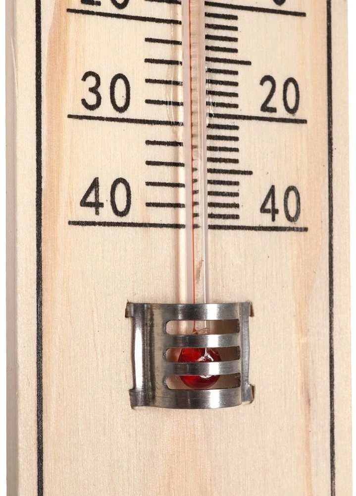 ProGarden Lauko termometras 22 cm - Aiškus matavimo diapazonas