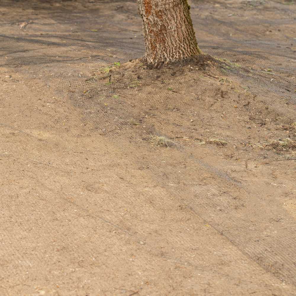 Springos Tinklelis nuo kurmių 2 x 100 m