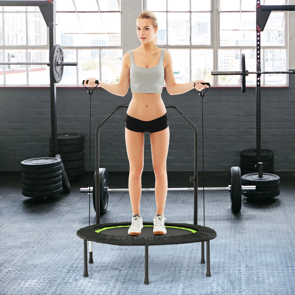 Trampolinas 101.6 cm