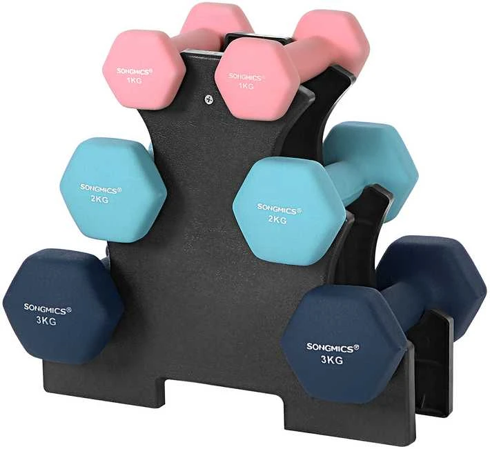 Songmics Kurzhantel-Set mit Hantelständer