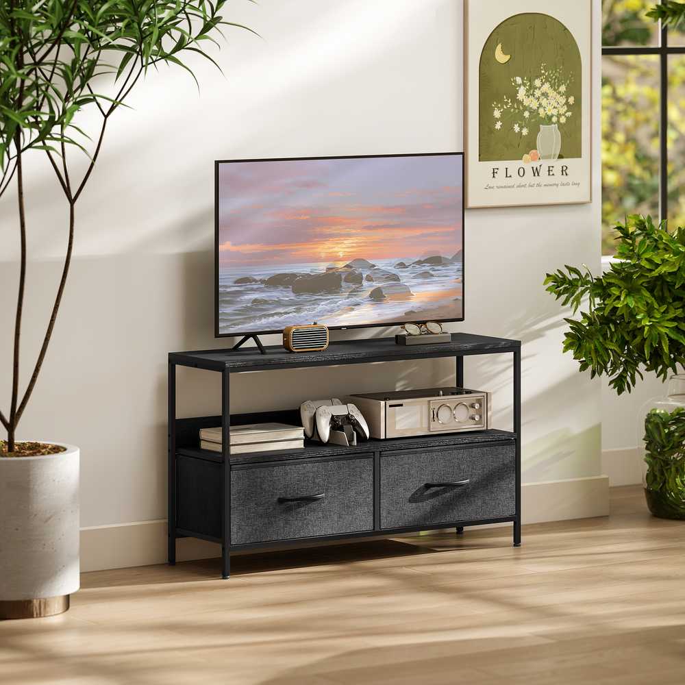 TV staliukas su 2 stalčiais, atvira niša, skirta televizoriams iki 47 colių, 98 x 29 x 56 cm, Juoda+Tamsiai pilka