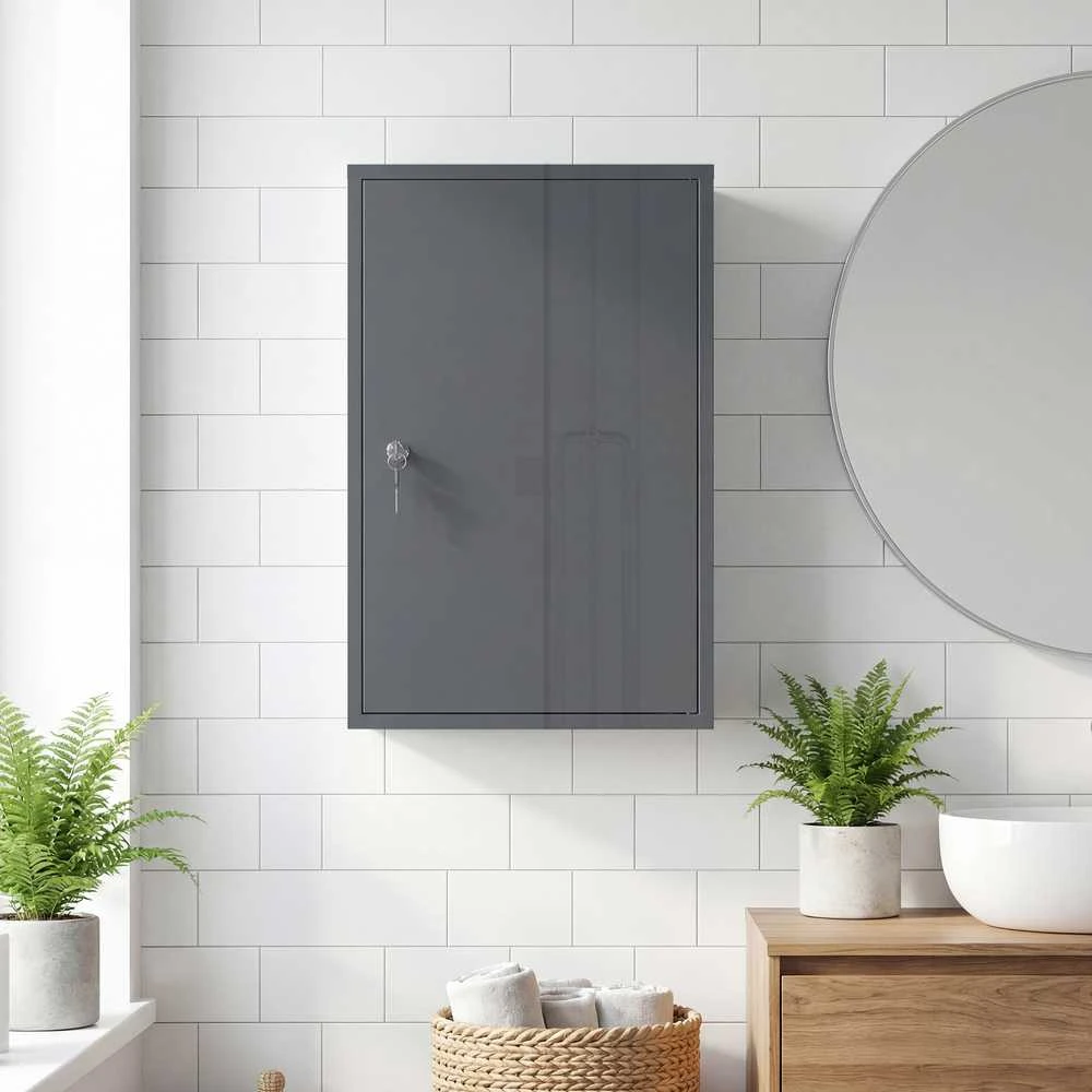 Vaistų spintelė 40 x 18 x 60 cm