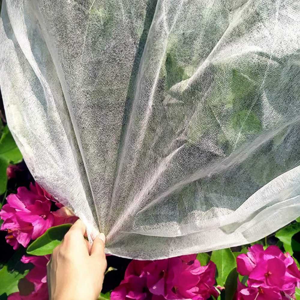 Springos Žieminė agrotekstilė 50 × 3,2 m