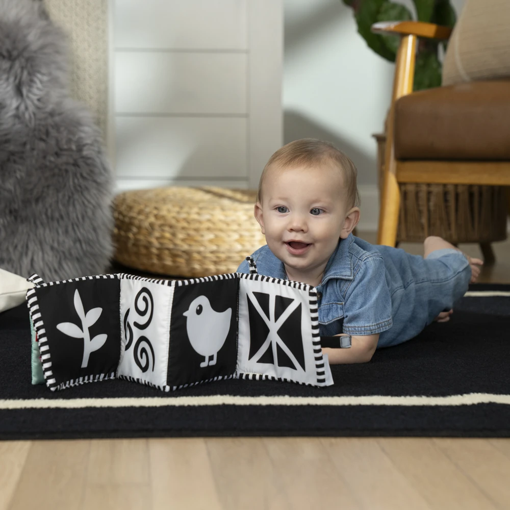 KNYGA BABY EINSTEIN minkšta veiklos knygelė, 17303