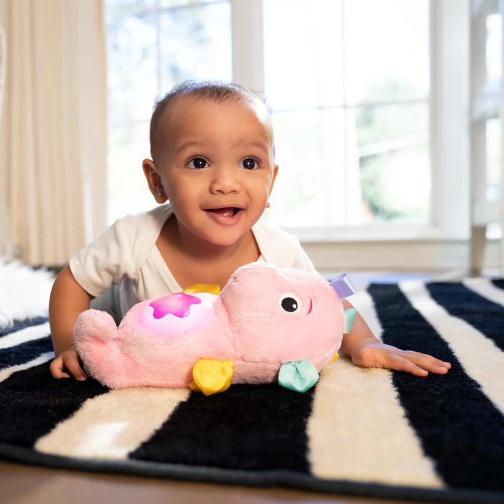 BABY EINSTEIN raminantis pliušinis žaislas Seahorse Soother, rožinis, 17400-013