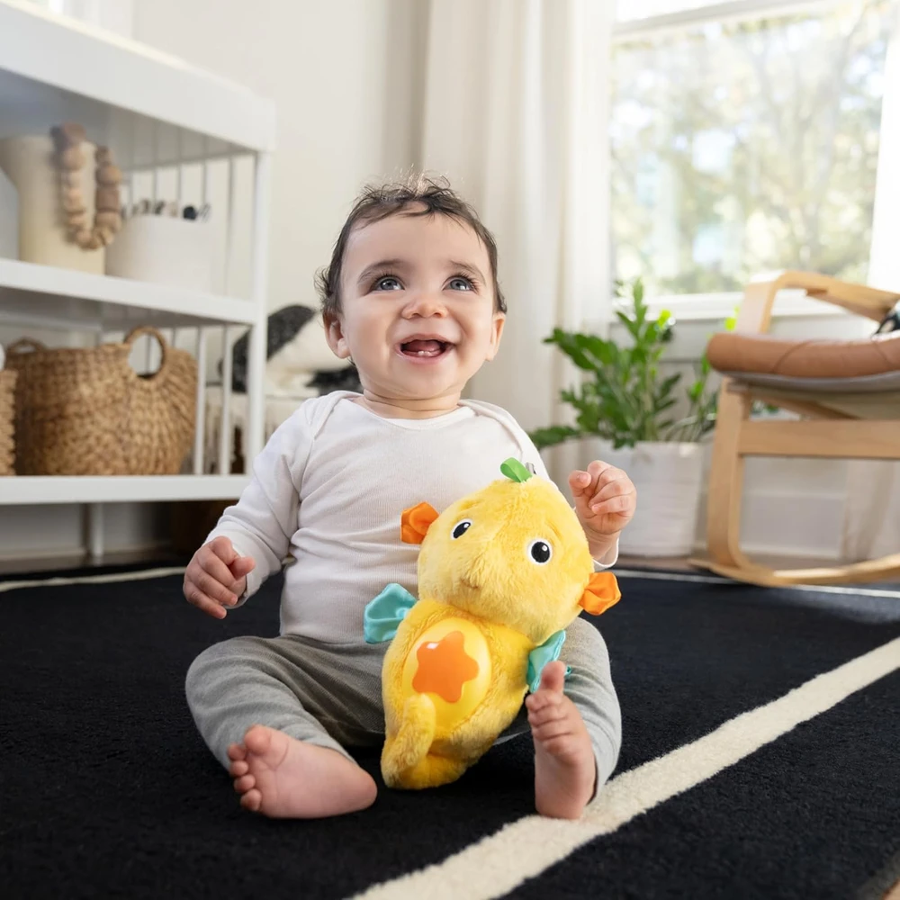 BABY EINSTEIN raminantis pliušinis žaislas Seahorse Soother, geltonas, 17400-000